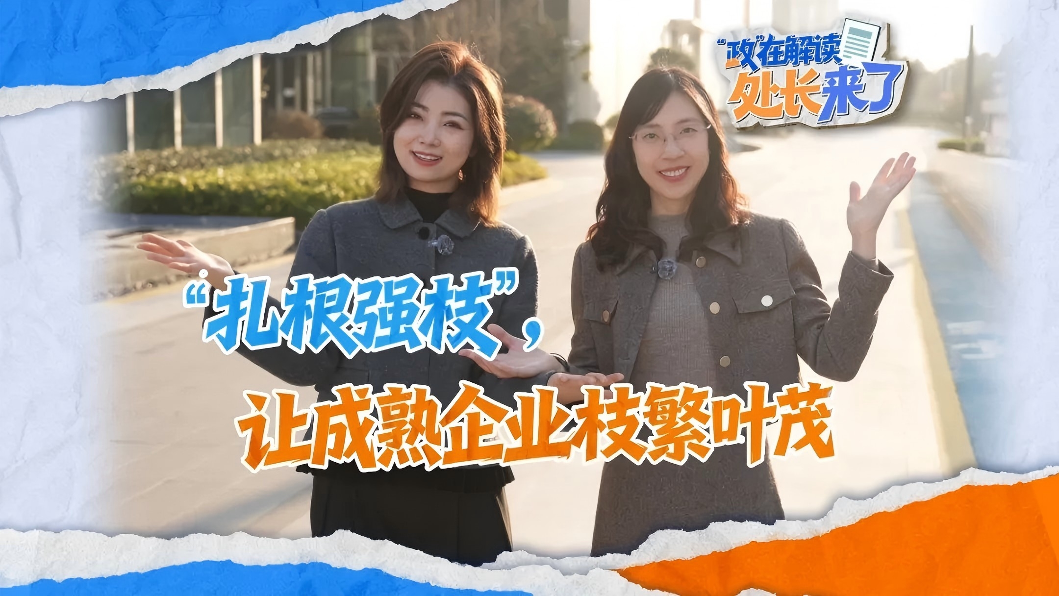 成林计划第三期：“扎根强枝”，让成熟企业枝繁叶茂
