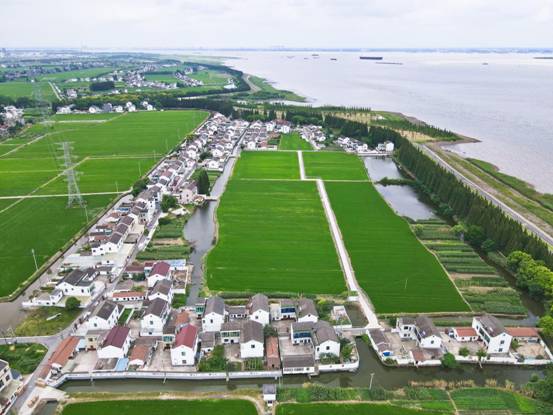 DJI_0368